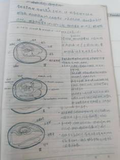 说明: 30e5aada3f75d7856e269f228d6a17f1